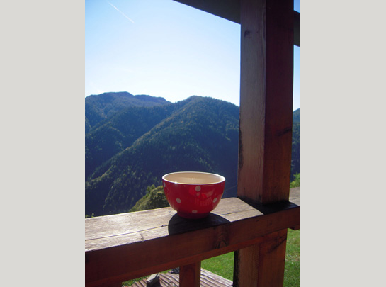 Tessin.ch: Charmantes Rustico mit atemberaubender Aussicht in 6663 Spruga 